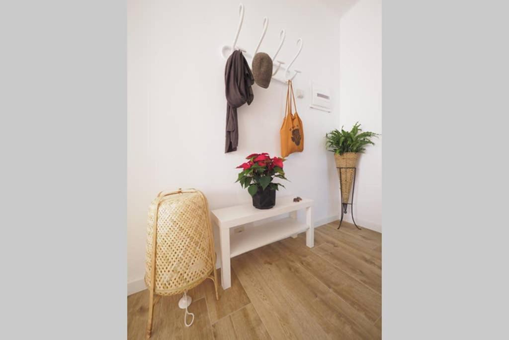 Apartaments Sa Calm Sant Miquel De Les Formigues Sant Hilari Sacalm Esterno foto